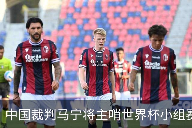 中国裁判马宁将主哨世界杯小组赛第二轮比赛